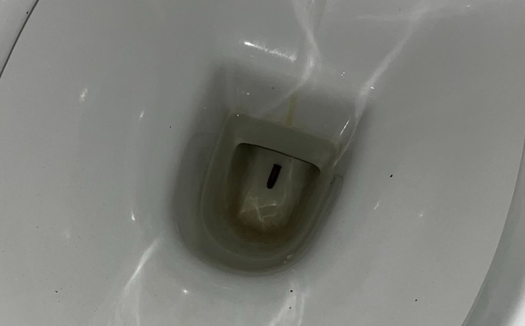 Il proiettile nel water
