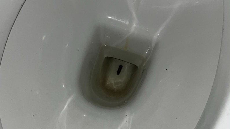 Un proiettile nel water in un bagno del Comune di Vibo