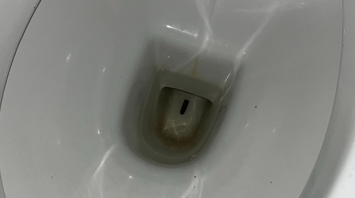 https://www.quotidianodelsud.it/wp-content/uploads/2026/06/proiettile-water-vibo.jpeg