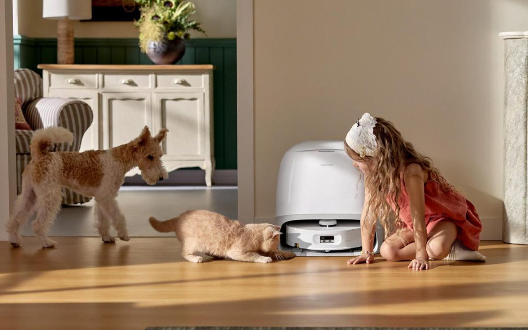 Animali, sondaggio Roborock rivela come cambia l’igiene domestica per i pet parent italiani