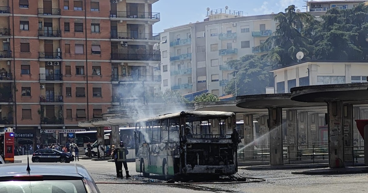https://www.quotidianodelsud.it/wp-content/uploads/2026/06/rogo.jpg