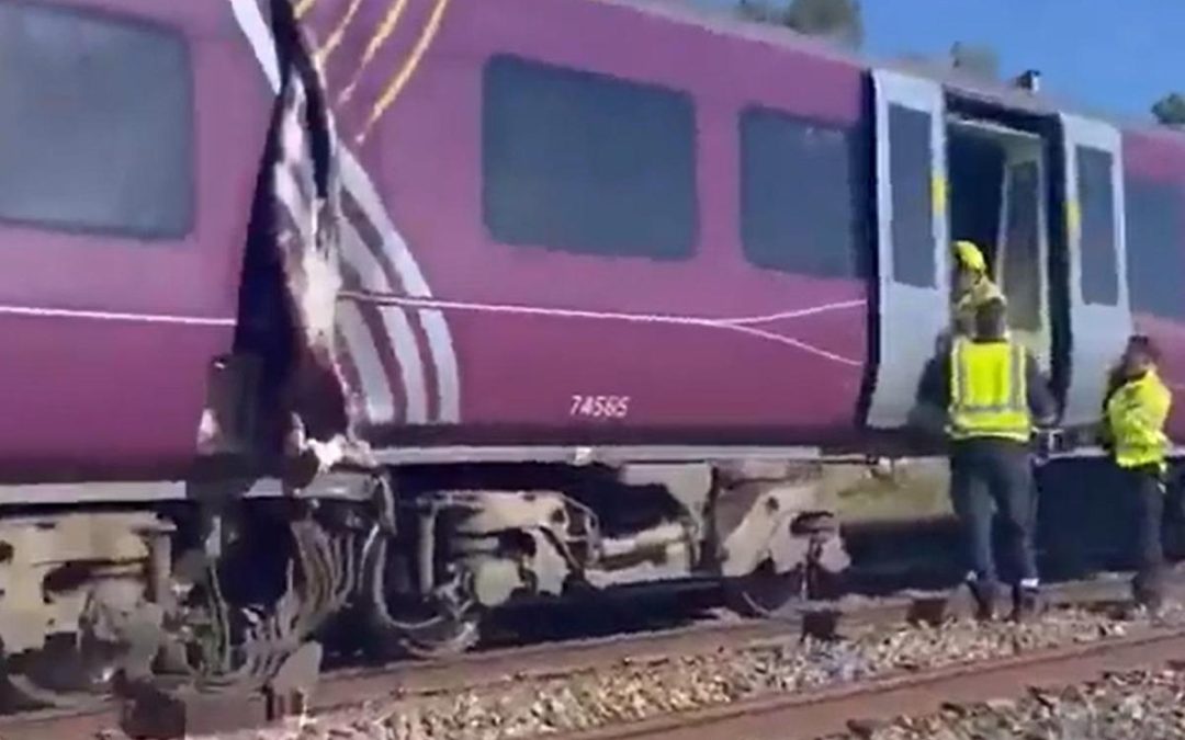 Scontro tra due treni a nord di Londra, soccorsi in azione: “Ci sono feriti gravi”
