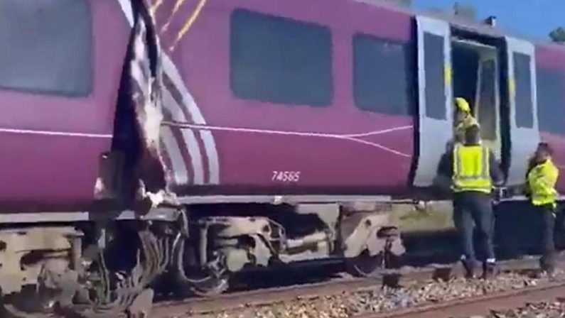 Scontro tra due treni a nord di Londra, soccorsi in azione: “Ci sono feriti gravi”