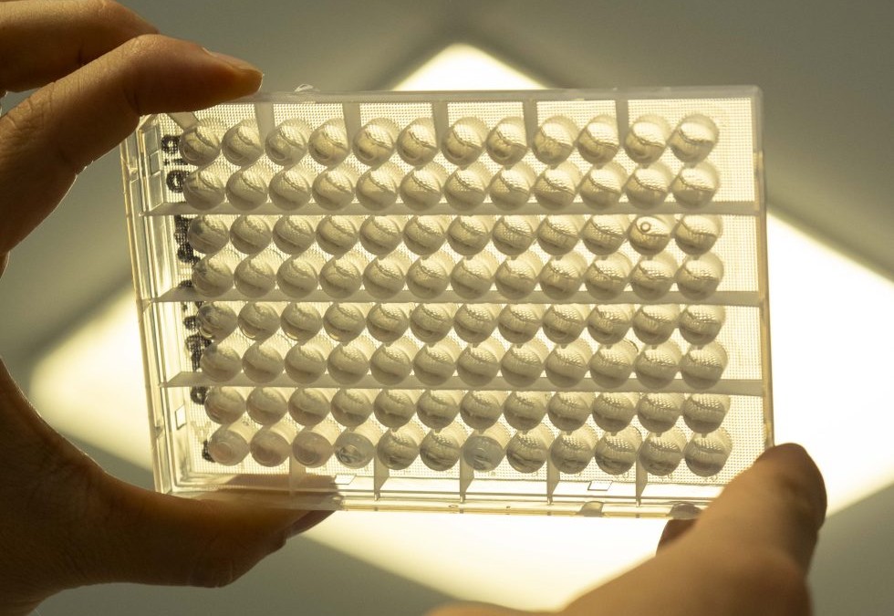 La Sardegna avvia lo screening neonatale per la SMA