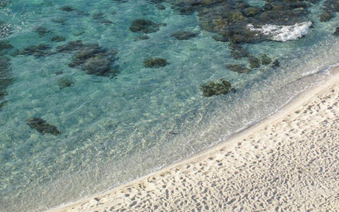 Niente ombrellone se hai tra 10 e 65 anni, il mondo guarda la Sardegna. E la regola divide turisti e ambientalisti