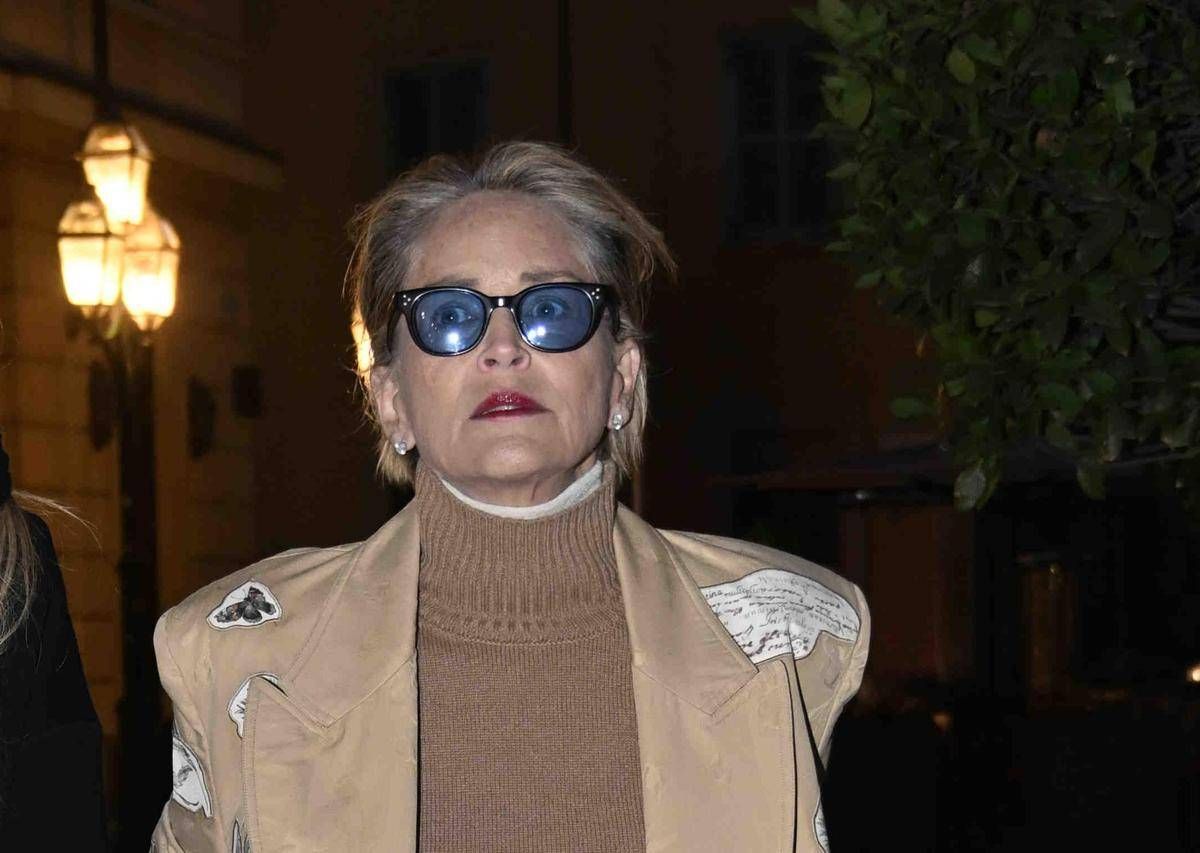https://www.quotidianodelsud.it/wp-content/uploads/2026/06/stone-sharon7-ipa.jpeg