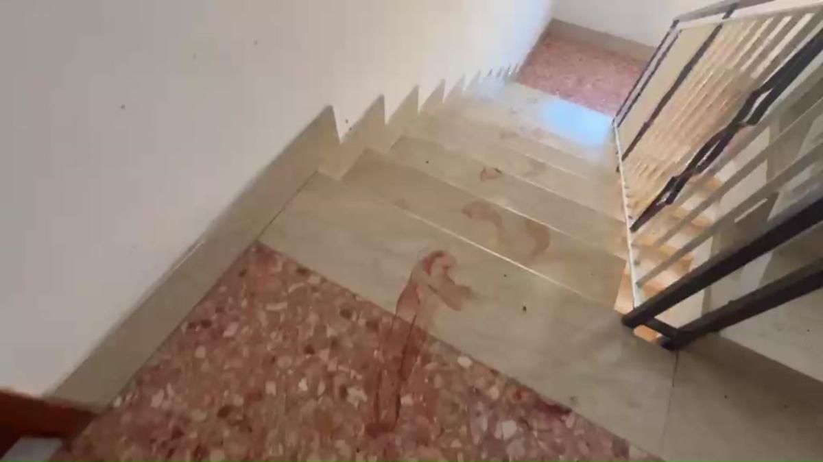 https://www.quotidianodelsud.it/wp-content/uploads/2026/06/triplice-omicidio-a-roma-la-fuga-del-figlio-ferito-le-impronte-nel-palazzo-e-le-tracce-video.jpeg