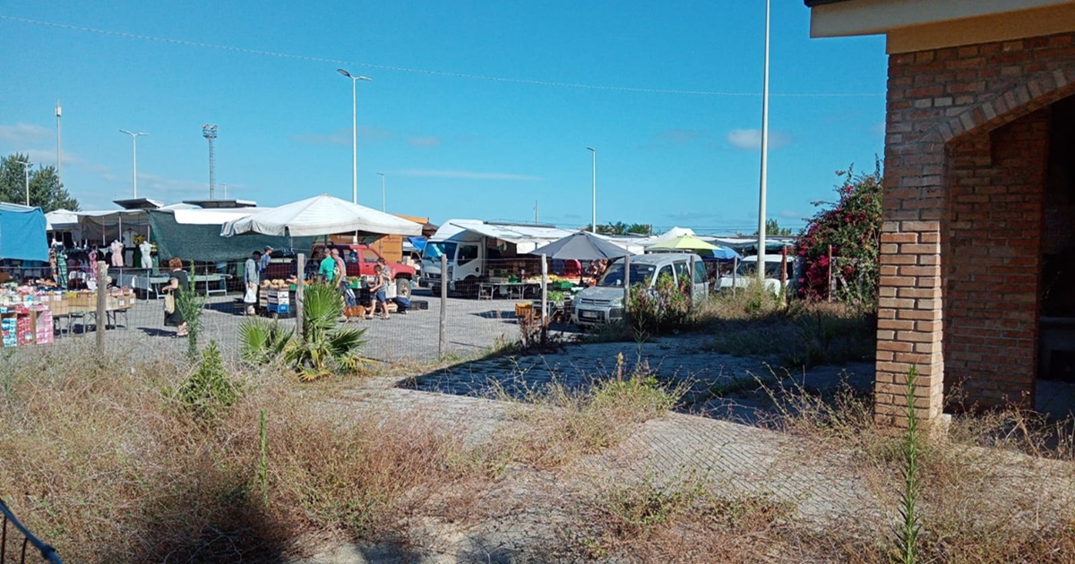 https://www.quotidianodelsud.it/wp-content/uploads/2026/06/vibo-marina-mercato-settimanale.jpg