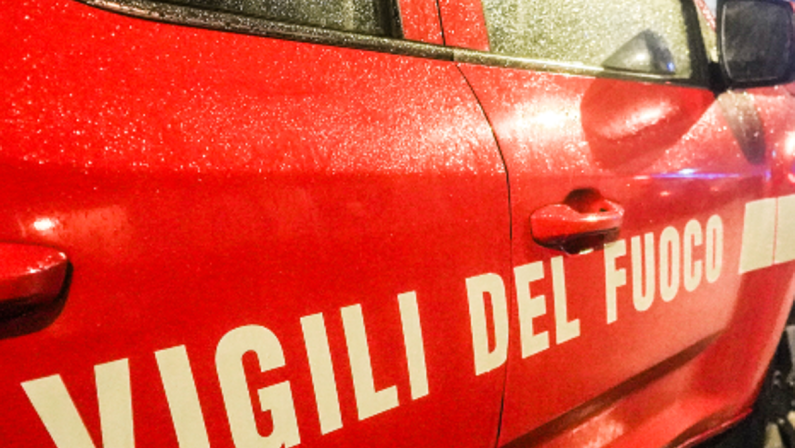 Leccio monumentale incendiato a Bagno a Ripoli, identificati 4 minori: volevano cuocere wurstel