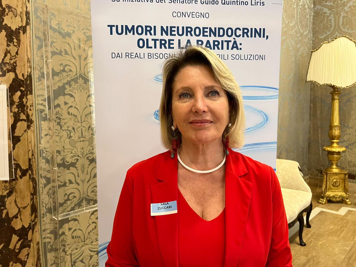 https://www.quotidianodelsud.it/wp-content/uploads/2026/07/06-colao.jpeg