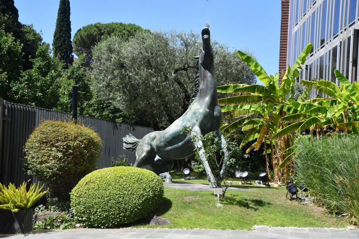 https://www.quotidianodelsud.it/wp-content/uploads/2026/07/20260701-2388.jpg