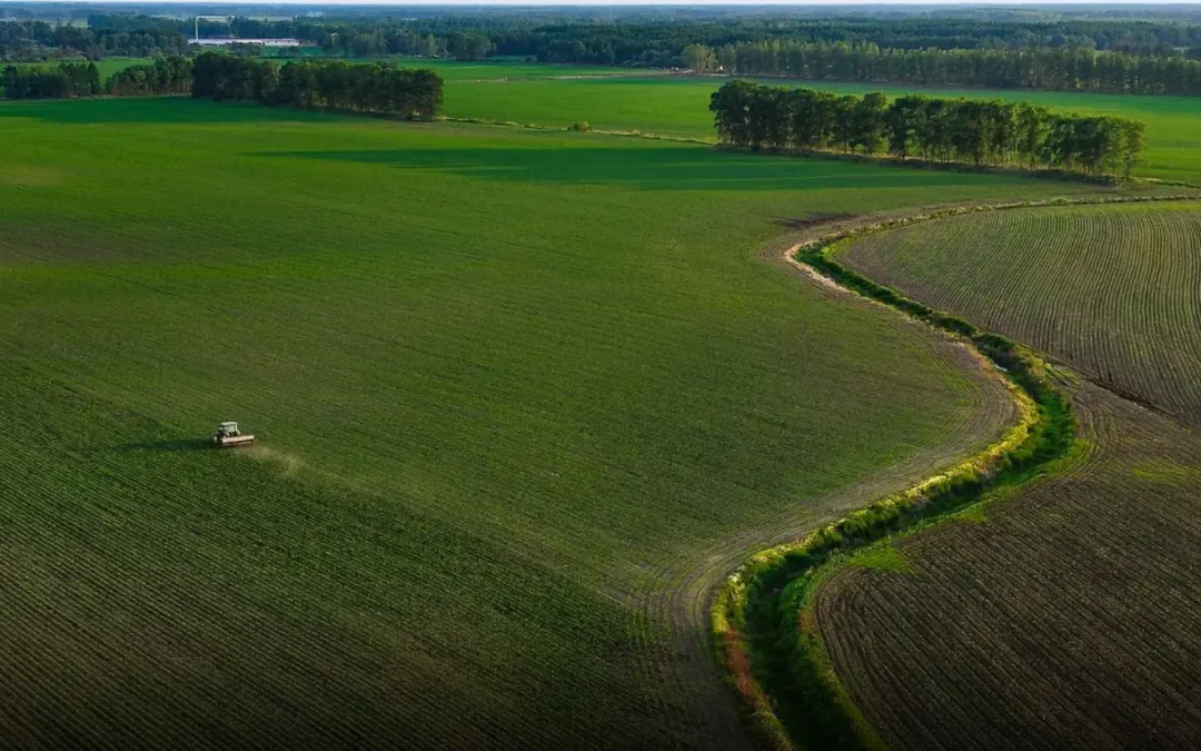 Portavoce Cina, pronti a facilitare commercio agricolo bilaterale con Usa