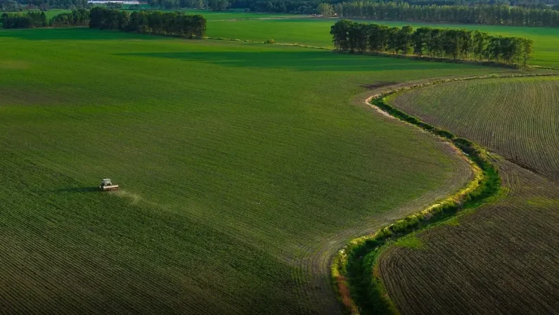 Portavoce Cina, pronti a facilitare commercio agricolo bilaterale con Usa