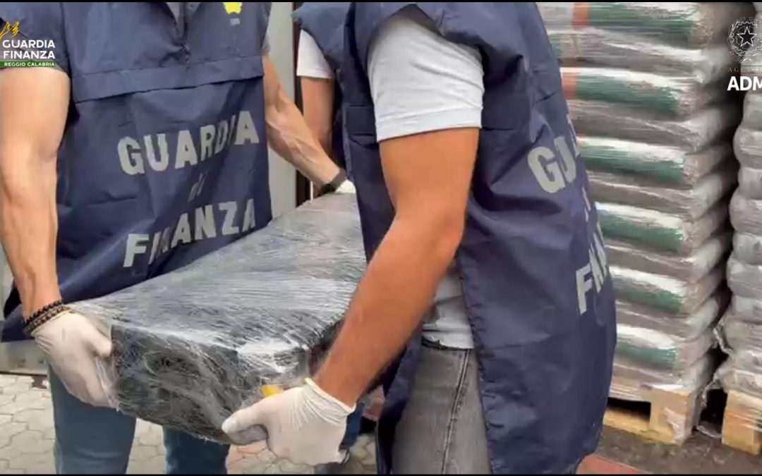 Sequestrati al porto di Gioia Tauro 113 kg di cocaina