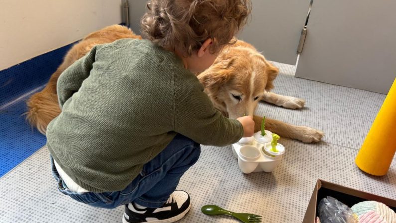 Purina e Frida’s Friends, pet therapy in Neurologia Pediatrica al Fatebenefratelli