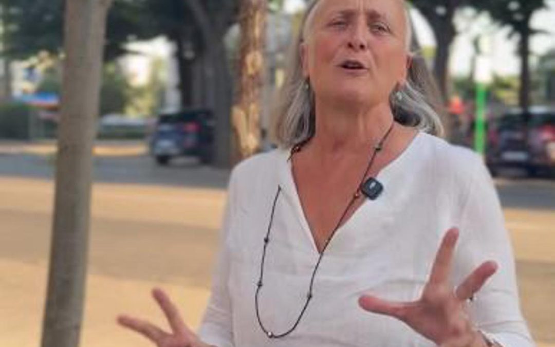 Cnn e piazza Risorgimento a Roma, Alfonsi: “Giusto più alberi e più ombra, ma serve cambiare regole”