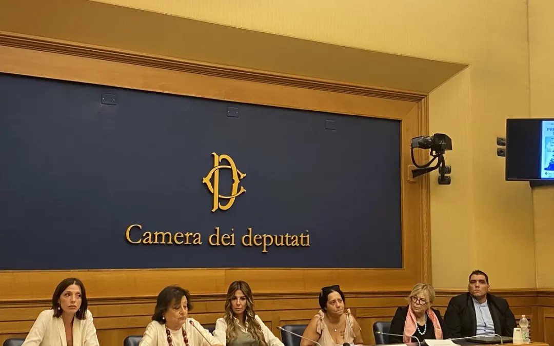 Un libro per non dimenticare il piccolo Domenico, la madre: “La battaglia continua” / Video