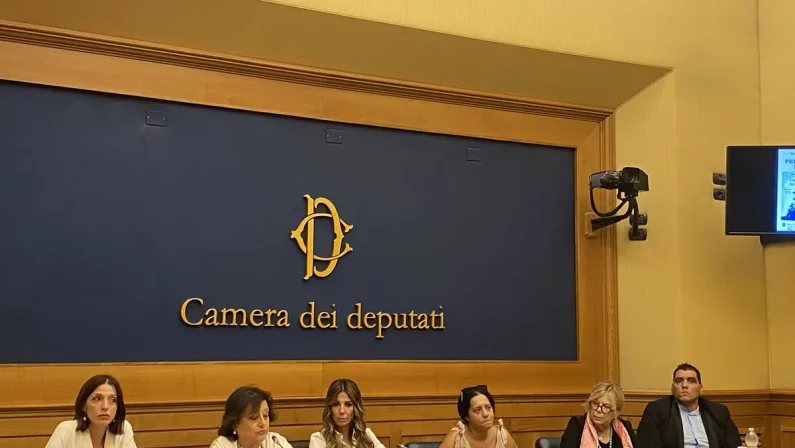 Un libro per non dimenticare il piccolo Domenico, la madre: “La battaglia continua” / Video