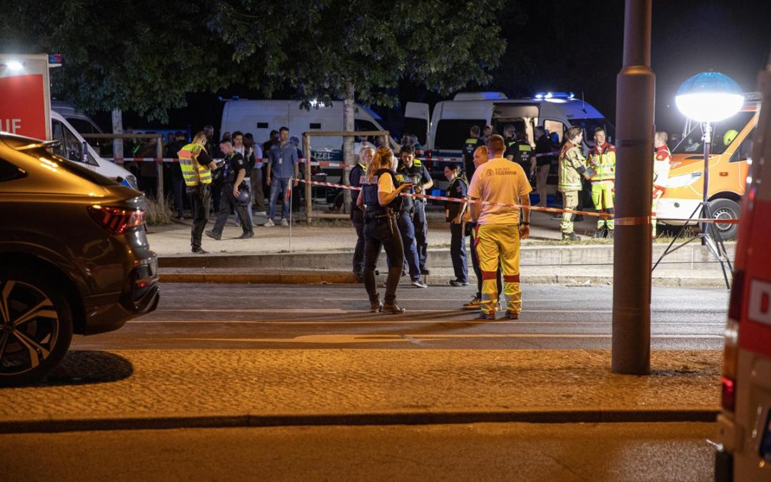 Germania, Valensise: “Immigrazione centrale in campagna elettorale, Afd sfrutterà paura”