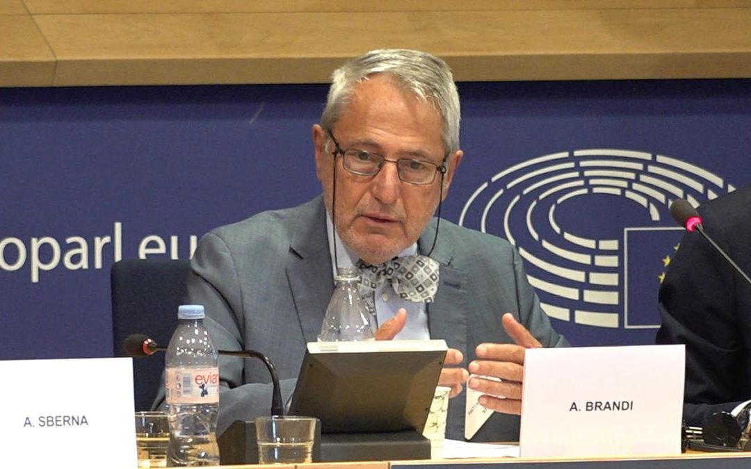 Ue, Brandi (Pro Vita): “Aiuti economici vincolati a ideologie gender, nostro dossier lo dimostra”