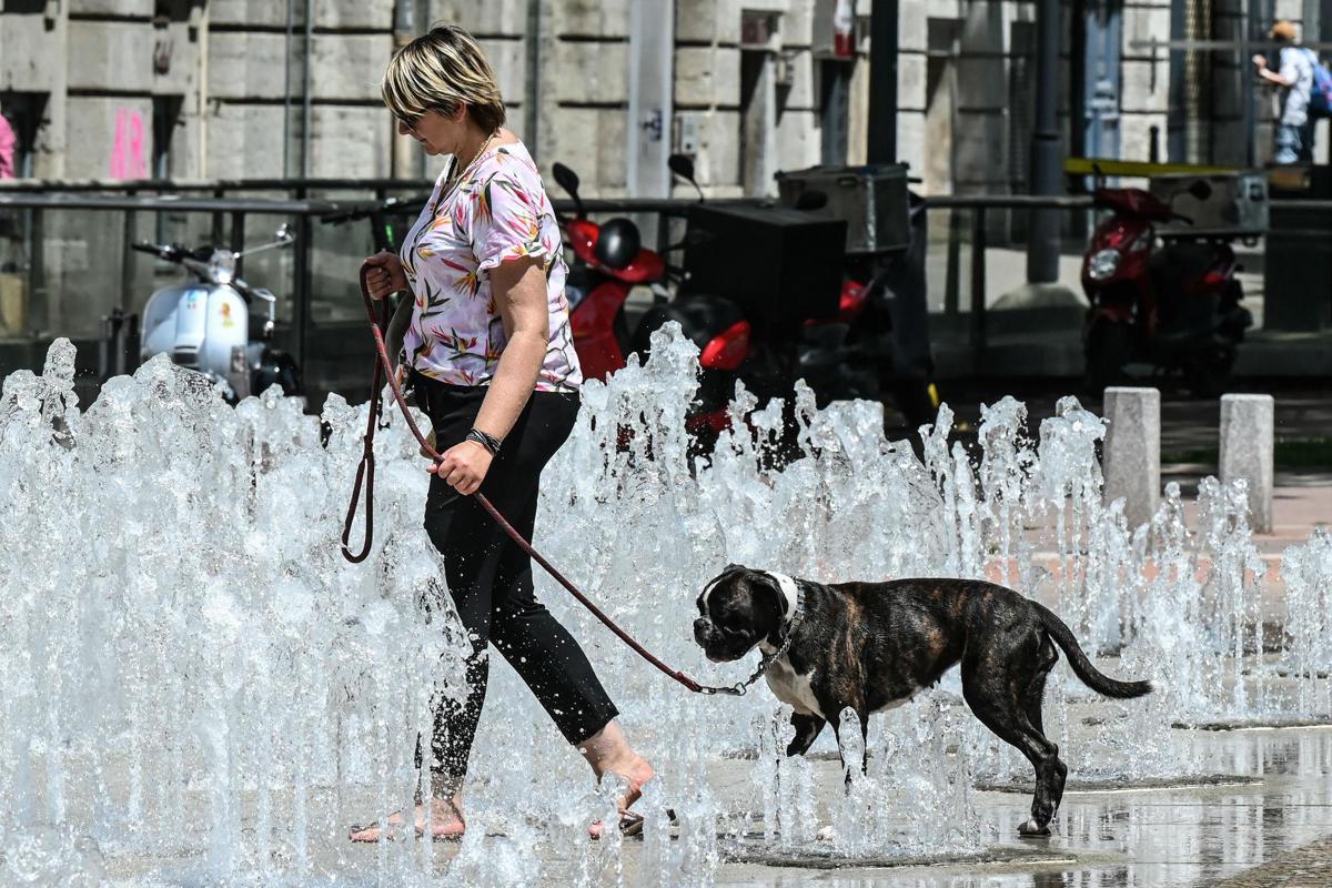 https://www.quotidianodelsud.it/wp-content/uploads/2026/07/caldo-donna-cane-fontana-afp.jpeg