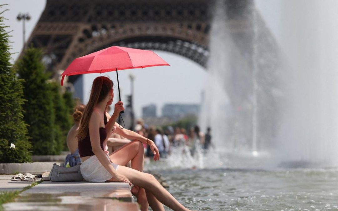 Caldo estremo in Europa, allarme Oms: “In arrivo nuova ondata fino a 43 gradi, è vera emergenza”