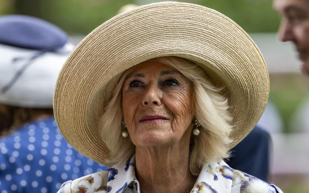 I Cazalet e il Conte di Montecristo, Camilla rivela i suoi libri preferiti