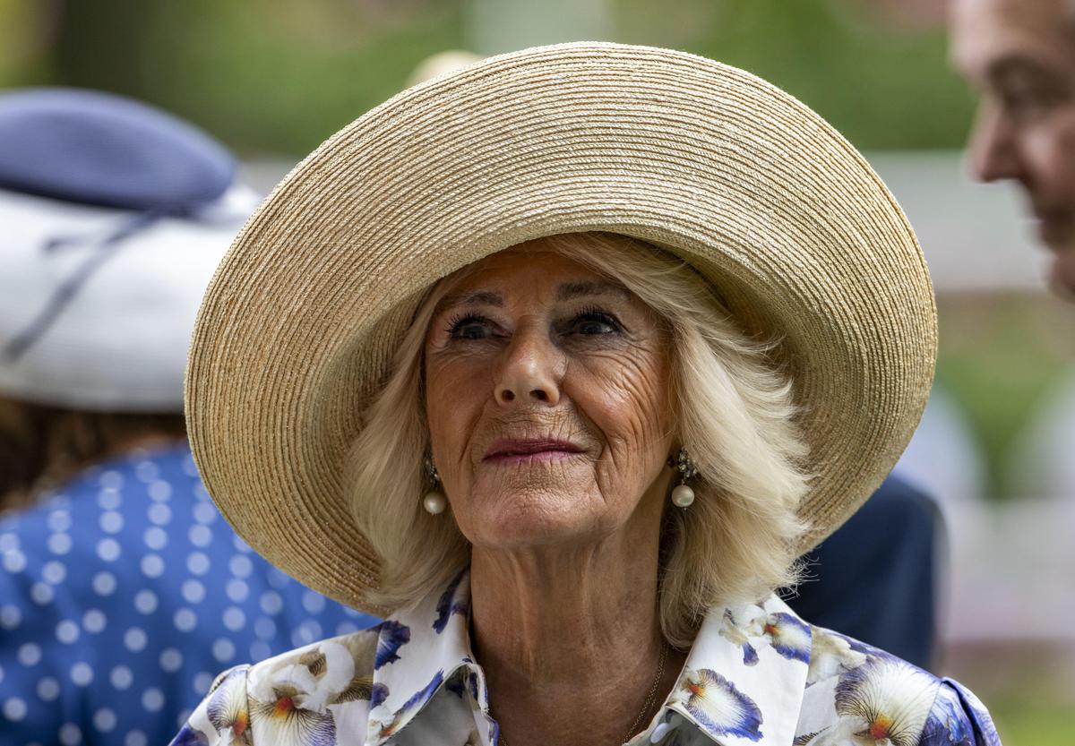 https://www.quotidianodelsud.it/wp-content/uploads/2026/07/camilla78-fg-ipa.jpeg