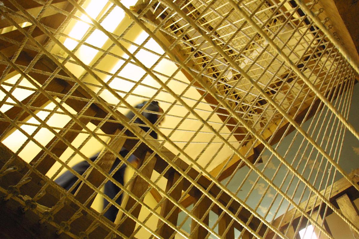 https://www.quotidianodelsud.it/wp-content/uploads/2026/07/carcere-sbarre-ipa.jpeg