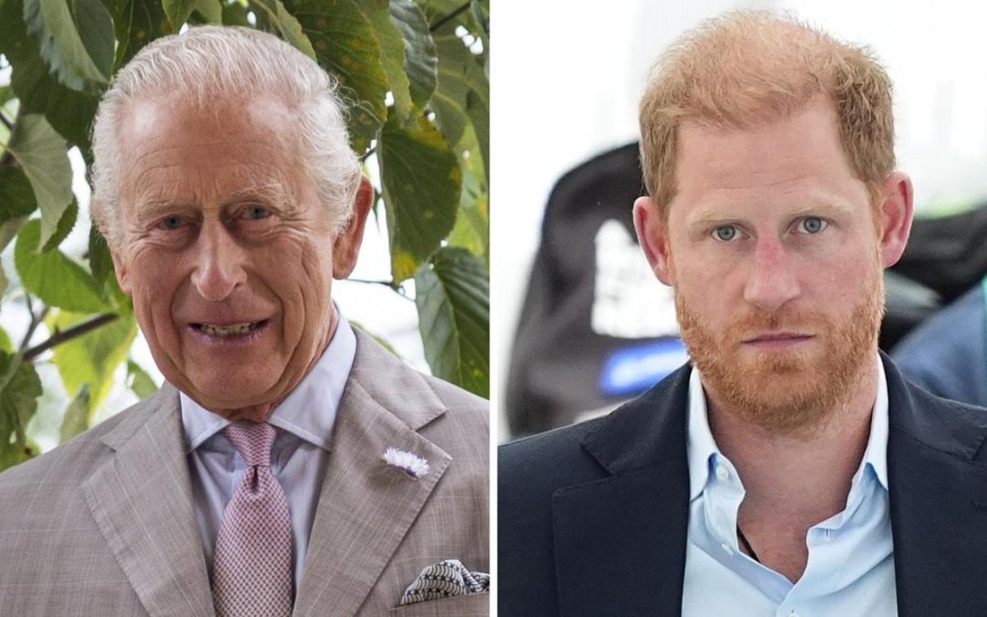 Gran Bretagna, sudditi felici per incontro fra Re Carlo e Harry: popolarità in crescita