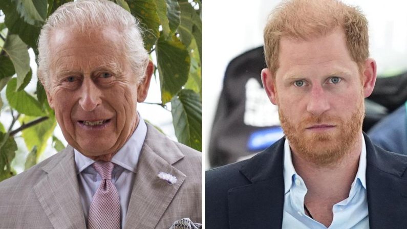 Gran Bretagna, sudditi felici per incontro fra Re Carlo e Harry: popolarità in crescita
