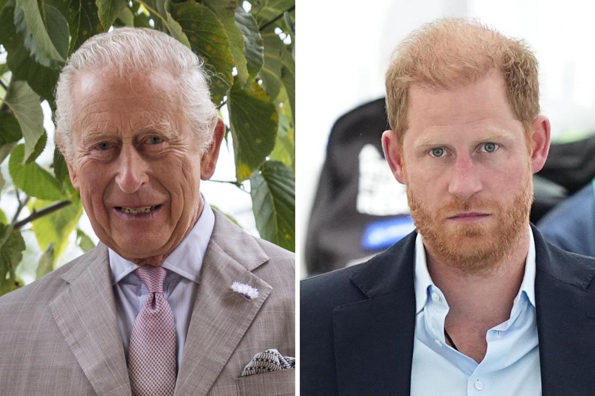 https://www.quotidianodelsud.it/wp-content/uploads/2026/07/carlo-harry-ipa.jpeg