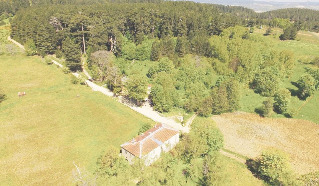 Casino Mollo visto dall’alto e sotto i particolari dell’edificio, a fianco i Giganti della Sila