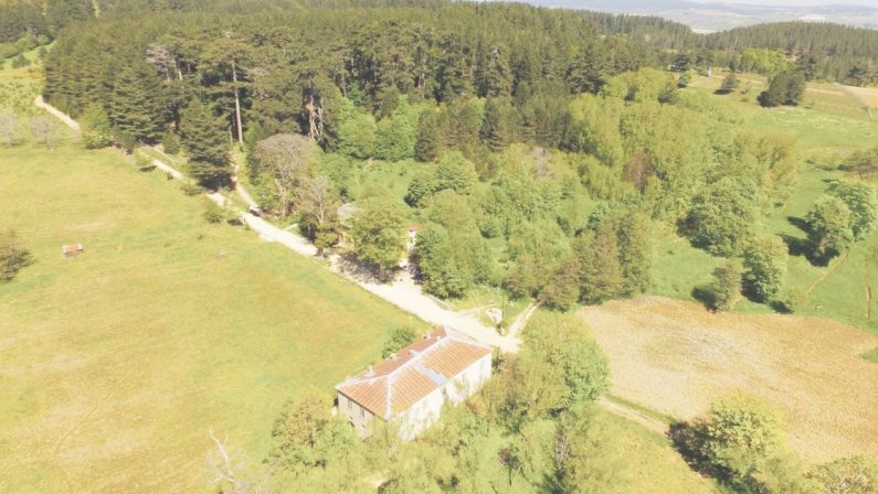I Giganti della Sila chiudono, Casino Mollo resta aperto