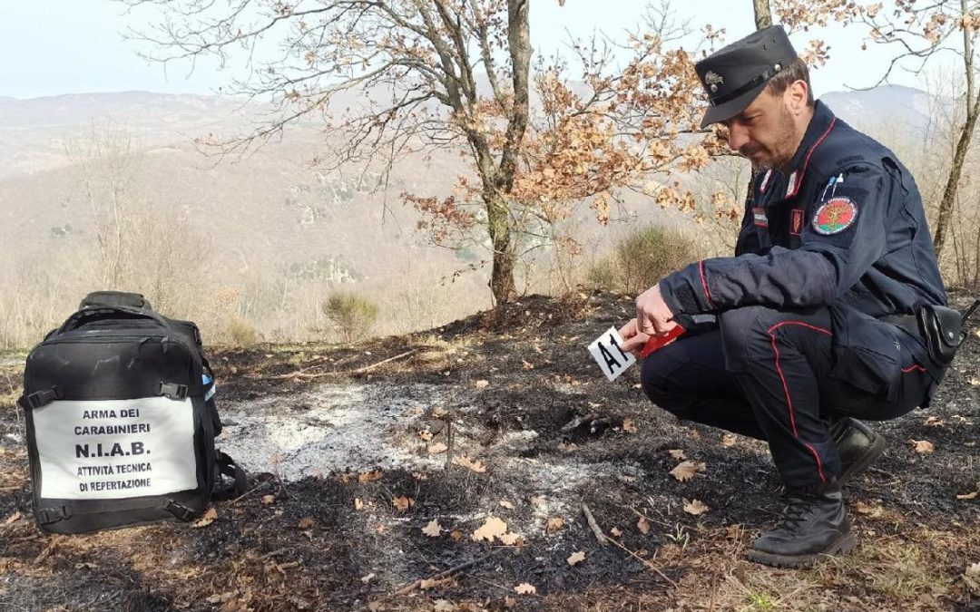 Incendi, Carabinieri Forestali: “98% causati dall’uomo, in primi 6 mesi 3800 ettari bruciati”