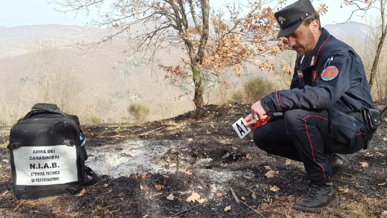 Incendi, Carabinieri Forestali: “98% causati dall’uomo, in primi 6 mesi 3800 ettari bruciati”