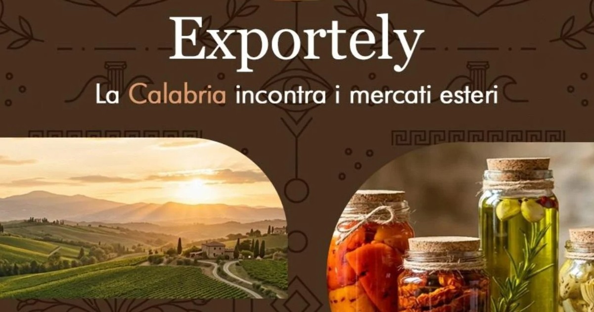 https://www.quotidianodelsud.it/wp-content/uploads/2026/07/exportely.jpg