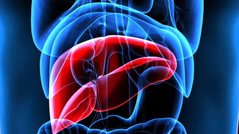 Mash, esperti a confronto su importanza diagnosi per patologia epatica sottovalutata
