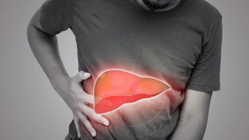 Steatosi epatica per 25% italiani, studio ‘integratore con alghe utile in 50% casi’