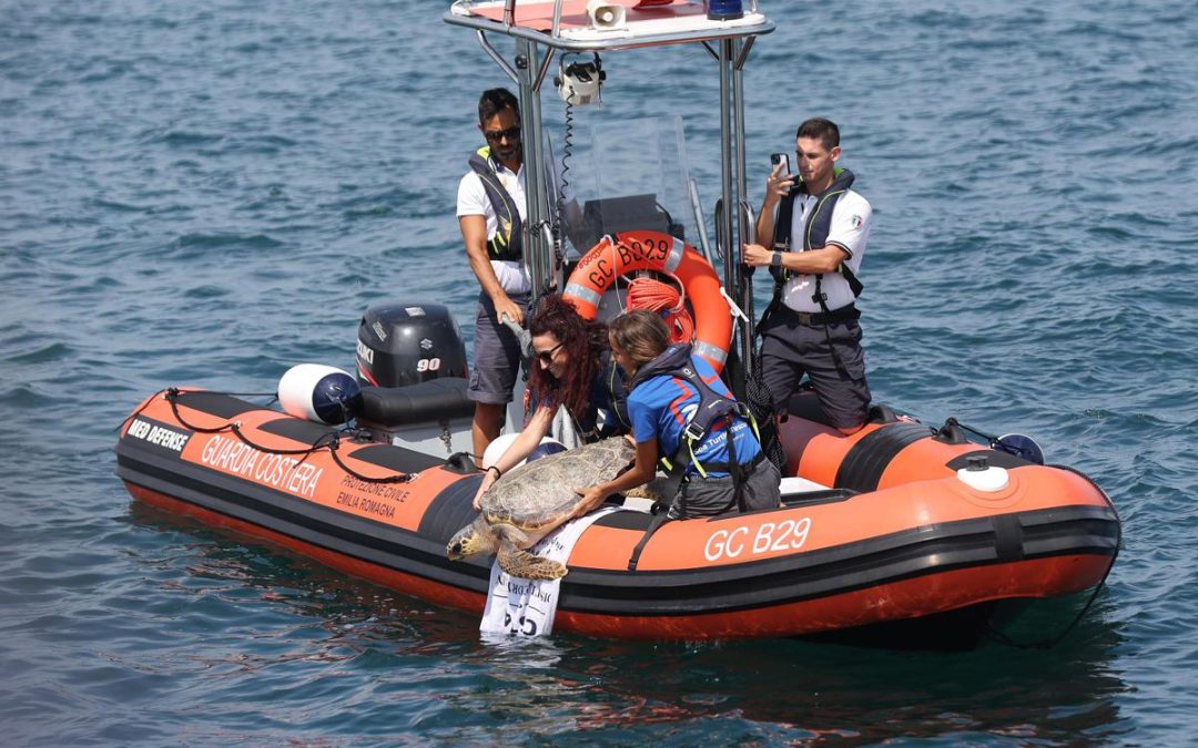 A Marina di Ravenna torna la ‘Festa della cozza’