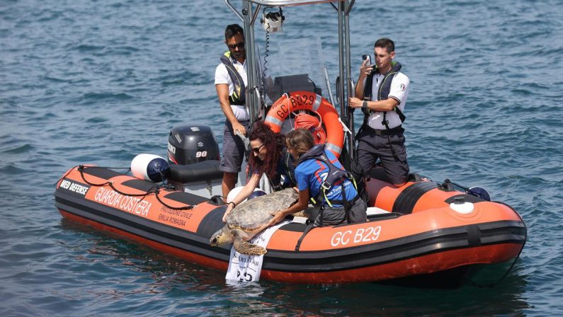 A Marina di Ravenna torna la ‘Festa della cozza’