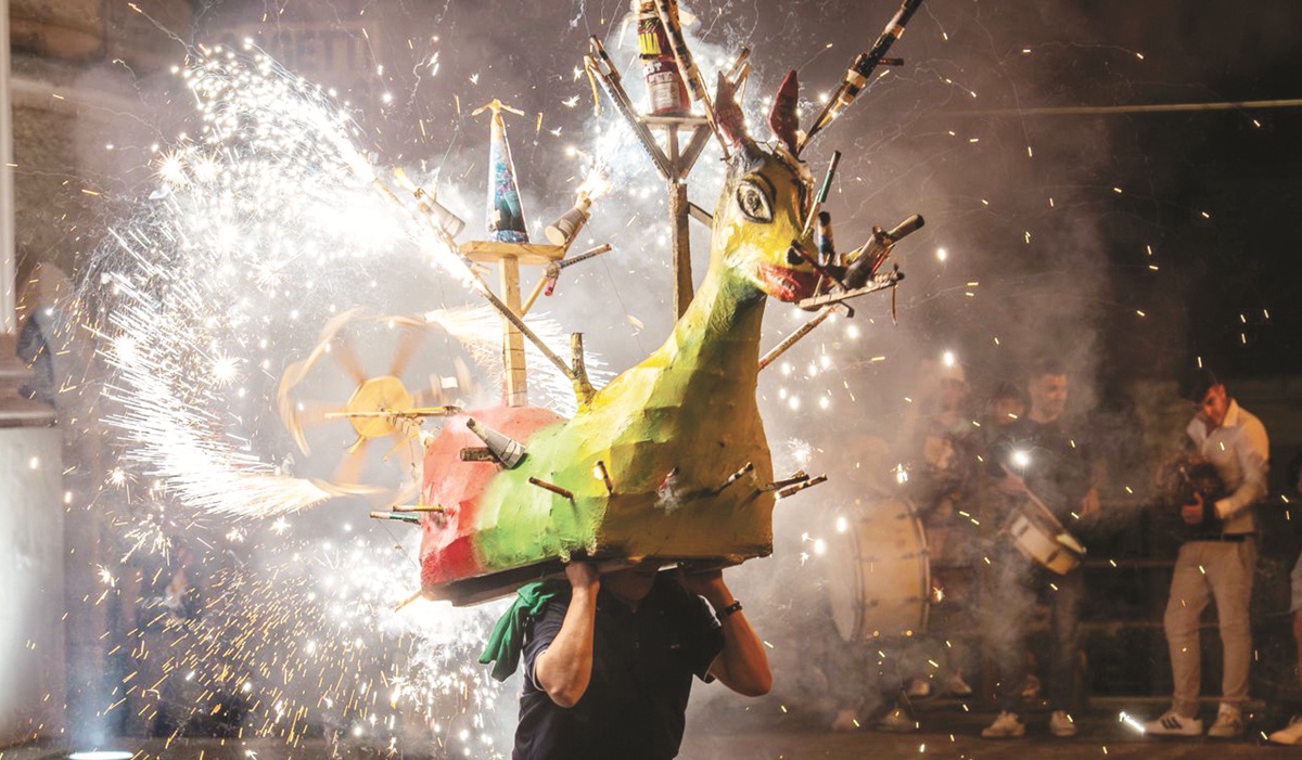 https://www.quotidianodelsud.it/wp-content/uploads/2026/07/festival-ciuccio-conflenti.jpg