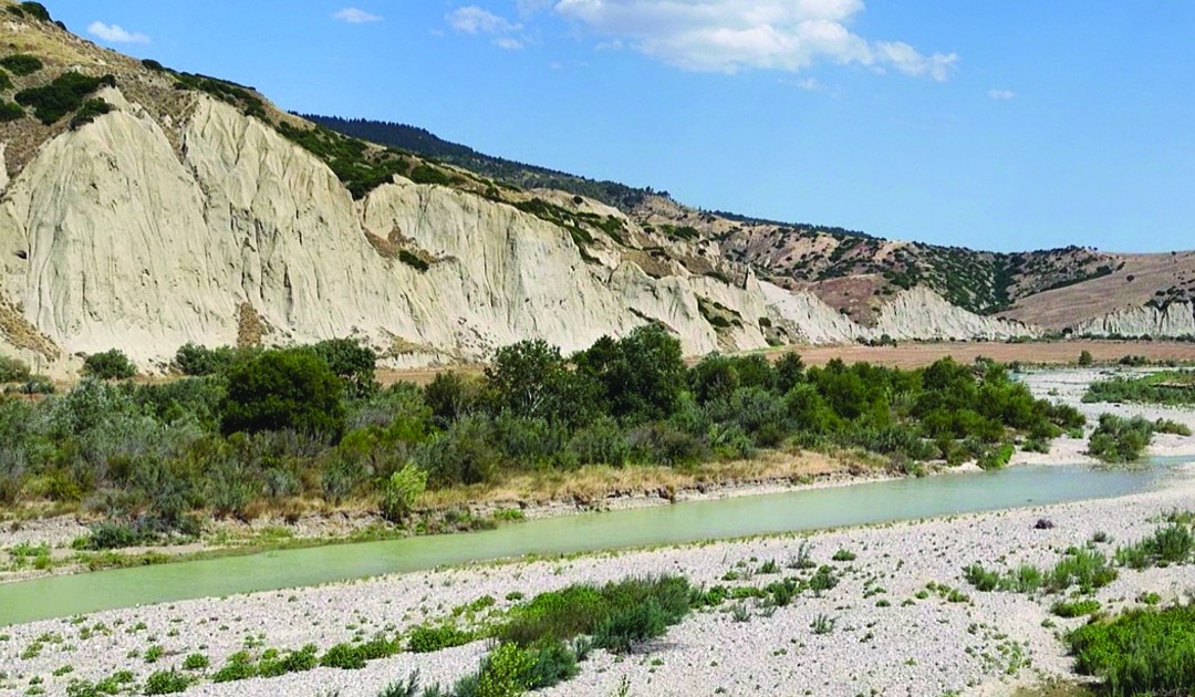 Imprese in crisi, Regione Basilicata zitta