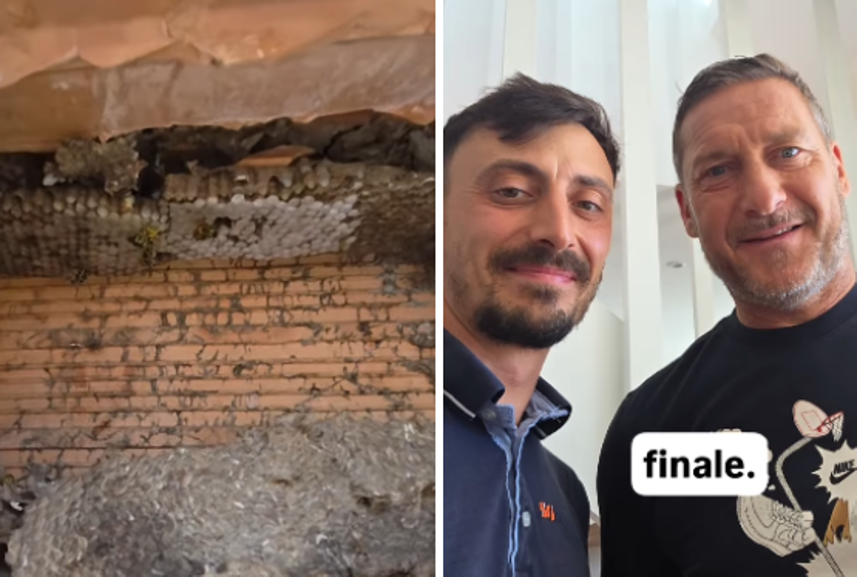 https://www.quotidianodelsud.it/wp-content/uploads/2026/07/francesco-totti-instaram.png