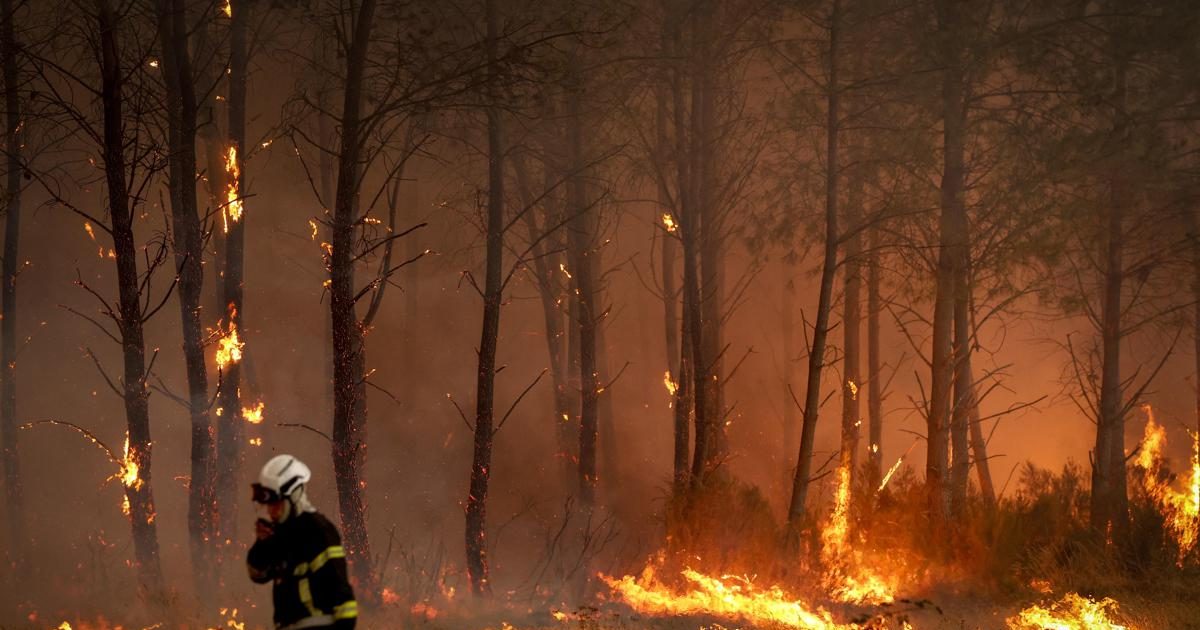 https://www.quotidianodelsud.it/wp-content/uploads/2026/07/francia-incendi6-afp-e1785226578270.jpeg