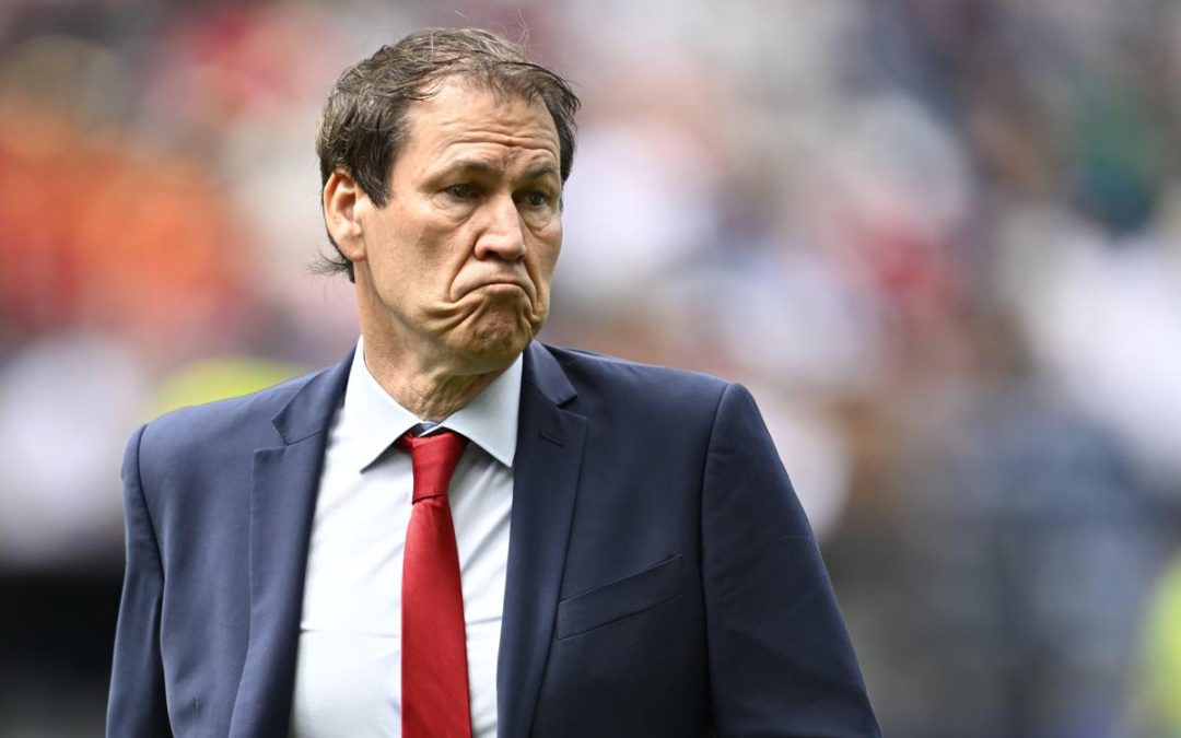 Belgio-Senegal, succede di tutto: ct annaffiato, invasione e lite in campo