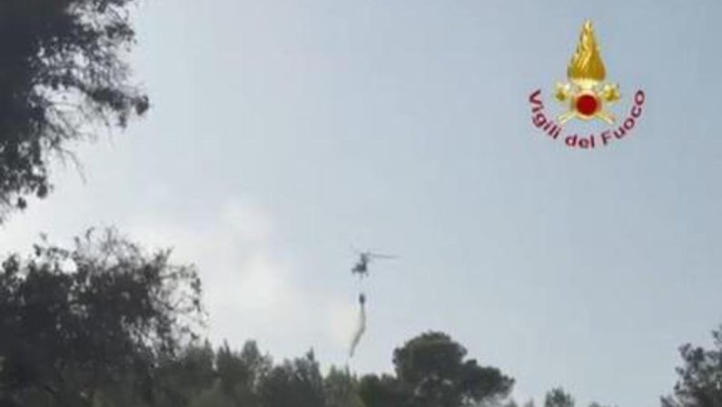 Incendi sul Gargano, sindaco di Peschici: “Turisti rientrati nelle strutture”