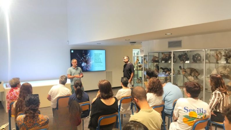 L'Unical alla Giornata del Mediterraneo, tra biodiversità e specie aliene