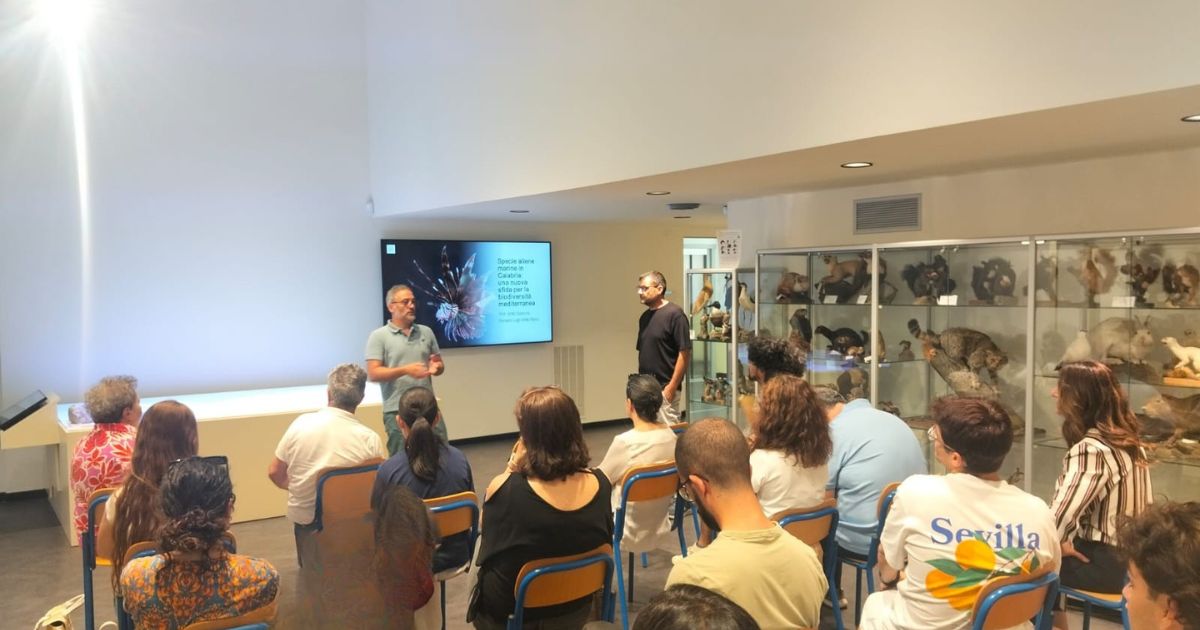 https://www.quotidianodelsud.it/wp-content/uploads/2026/07/giornata-mediterraneo-1.jpg