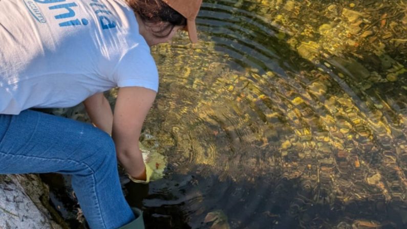 Goletta Verde, inviato al Comune di Vibo il report sul torrente Sant’Anna